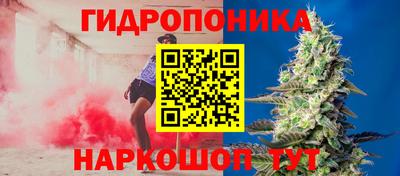 прущие крисы Тулун